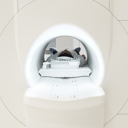 Magnetic Resonance Imaging (MRI)