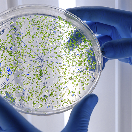 Microbiology