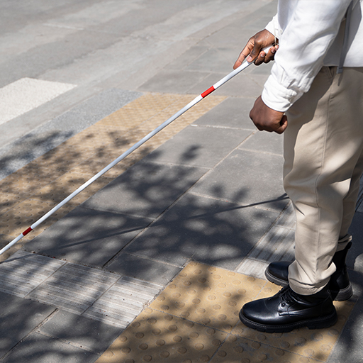 Rehabilitation, Blind