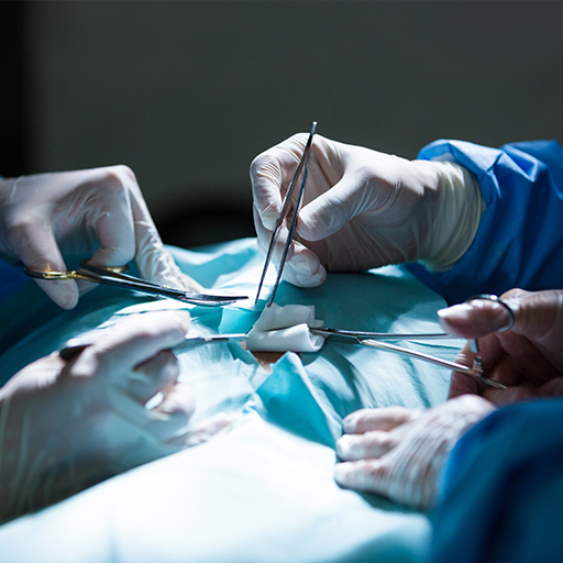 Transplantation