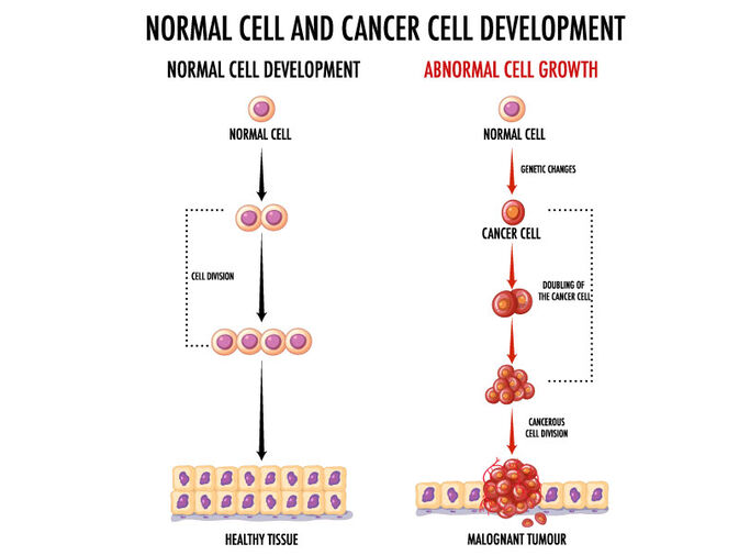 Dr. Thakur, Raja | Physician(Internal Medicine) | 26 + Years of Experience