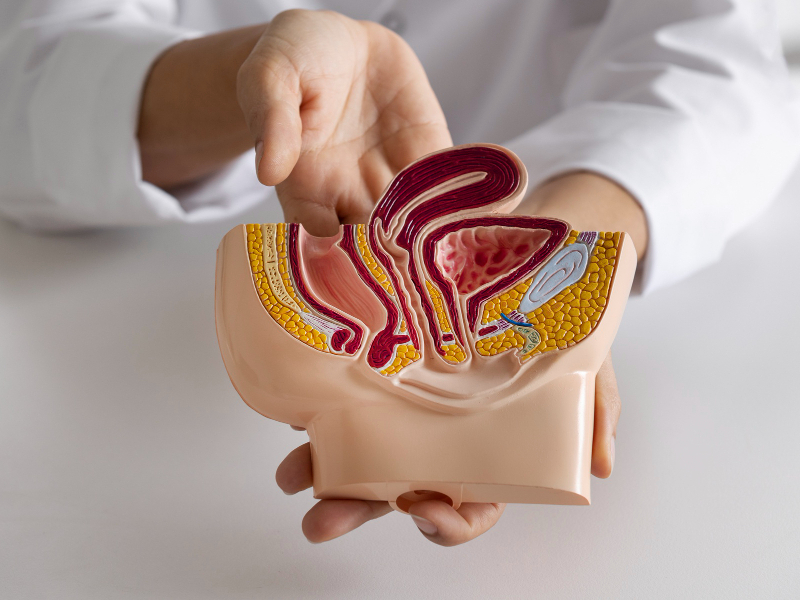 Dr. Jadhav Balaji Jagannath | Physician(Internal Medicine) | 32 + Years of Experience